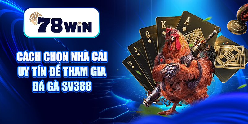 Đá Gà SV388 – Sân Chơi Chọi Gà Thomo, Cựa Dao Đỉnh Cao 9 Cách chọn nhà cái uy tín để tham gia đá gà Sv388