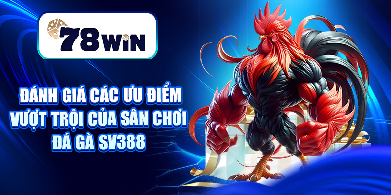 Đá Gà SV388 – Sân Chơi Chọi Gà Thomo, Cựa Dao Đỉnh Cao 6 Đánh giá các ưu điểm vượt trội của sân chơi Đá Gà SV388
