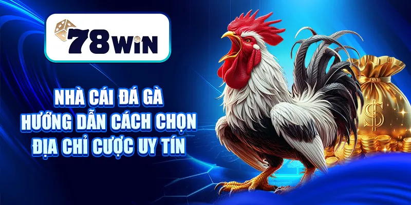 Nhà Cái Đá Gà – Hướng Dẫn Cách Chọn Địa Chỉ Cược Uy Tín 5 Nhà Cái Đá Gà – Hướng Dẫn Cách Chọn Địa Chỉ Cược Uy Tín