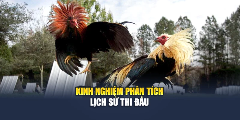 Kinh nghiệm phân tích lịch sử thi đấu