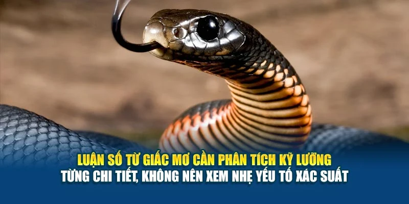 Luận số từ giấc mơ cần phân tích kỹ lưỡng từng chi tiết, không nên xem nhẹ yếu tố xác suất